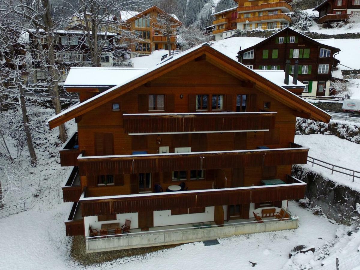 Roossi-Huus 3 Apartment Wengen Luaran gambar